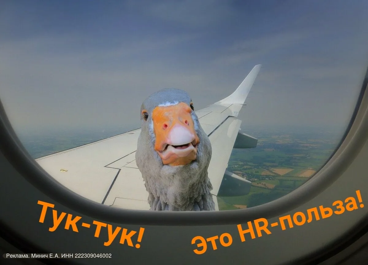 ✋Собрали много HR-пользы для вас в канале «HR-вебинары и технологии».