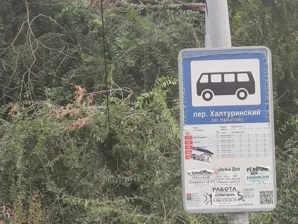 🌳 В Ростове третий месяц висит на проводах отломившаяся ветка дерева