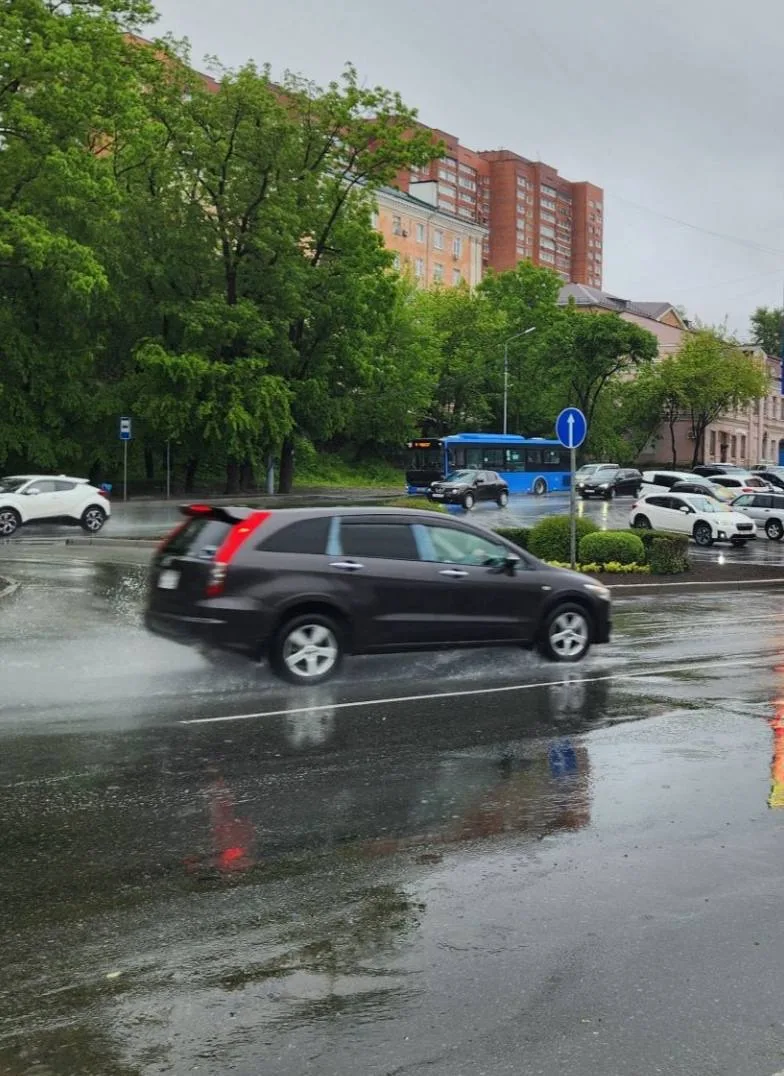 ☔️В Приморье и Владивостоке пятница будет дождливой и ветреной — все из-за южного циклона, объясняют