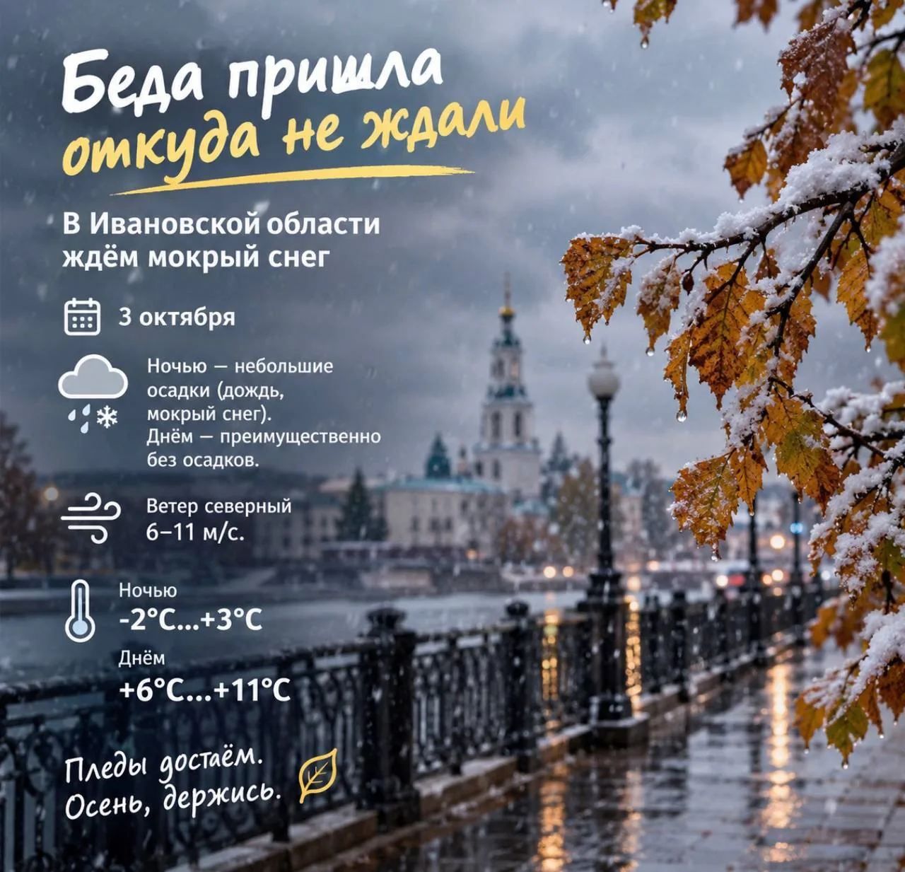 🌨️ Беда пришла откуда не ждали: в Ивановской области обещают мокрый снег