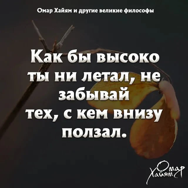 📚Омар Хайям и другие великие философы