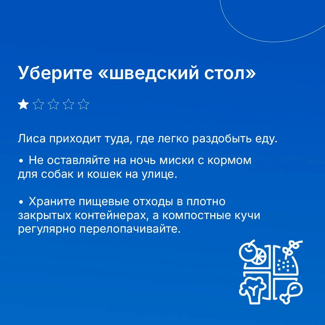 Лиса — зверь хитрый и красивый. Но соседство с ней в загородном доме может обернуться проблемами: ра