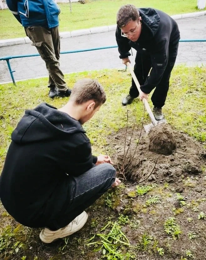 🌳Наши студенты не только успешно осваивают знания и получают профессиональные навыки, но и вносят зн