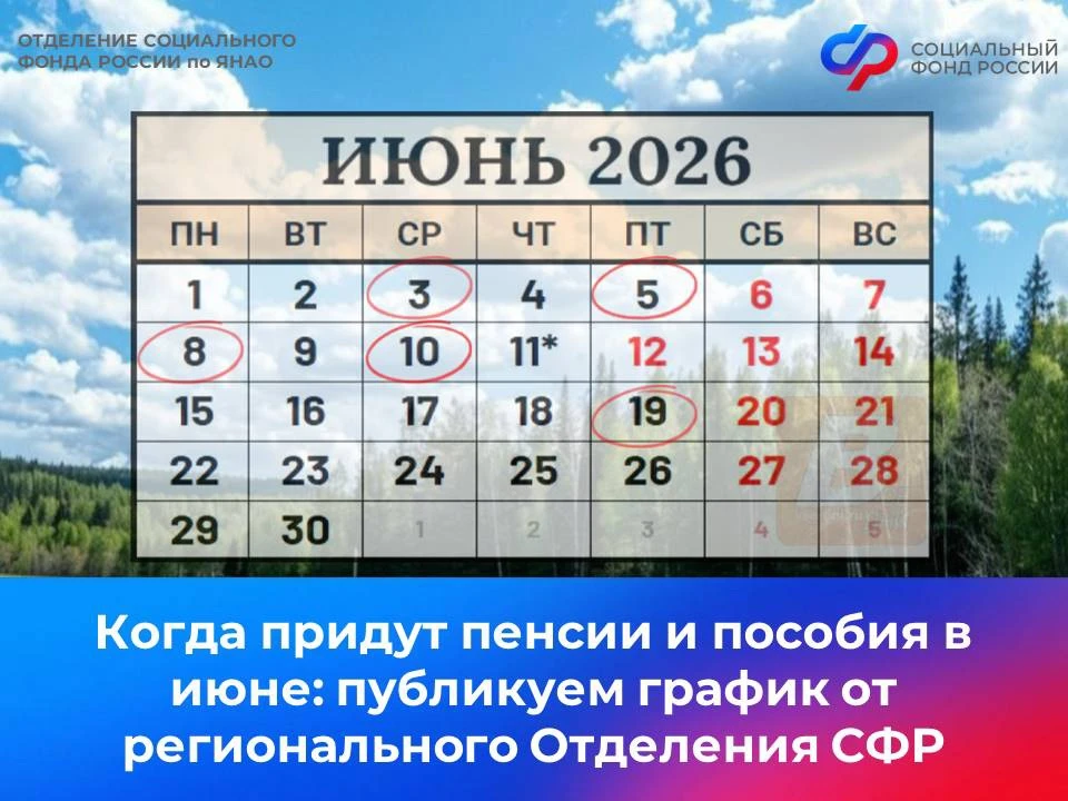 📆 3, 5 и 8 июня — дни зачисления выплат семьям с детьми на карты «МИР» и счета в банка...