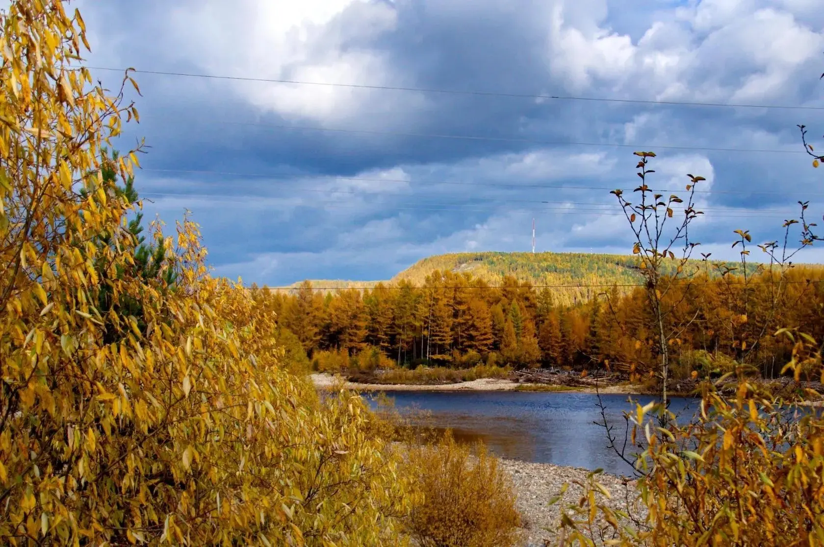 Отличного воскресенья 💙