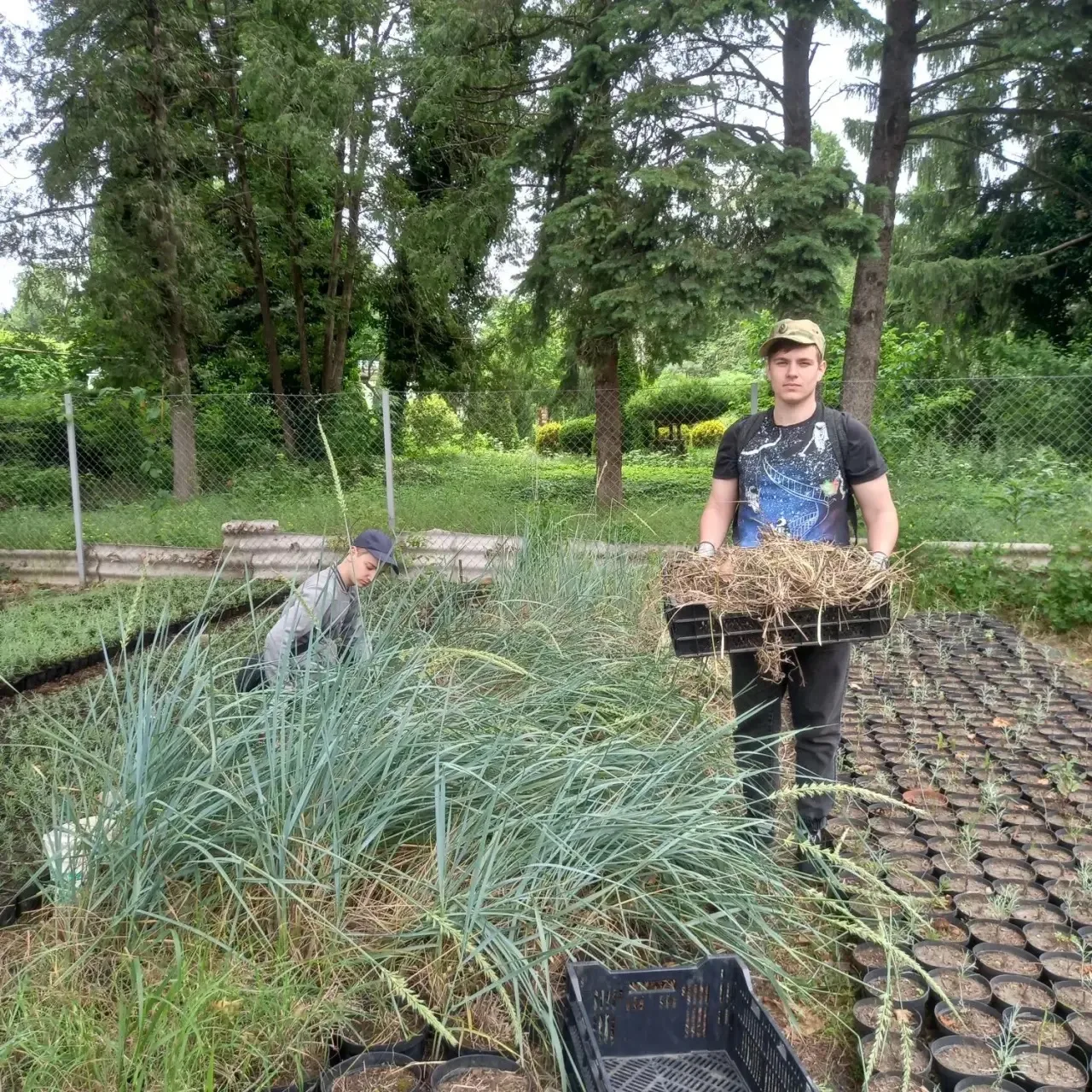 🌱 НАША практика в Совхозе Декоративных Культур продолжается! 

И тут всё совсем не только про расте