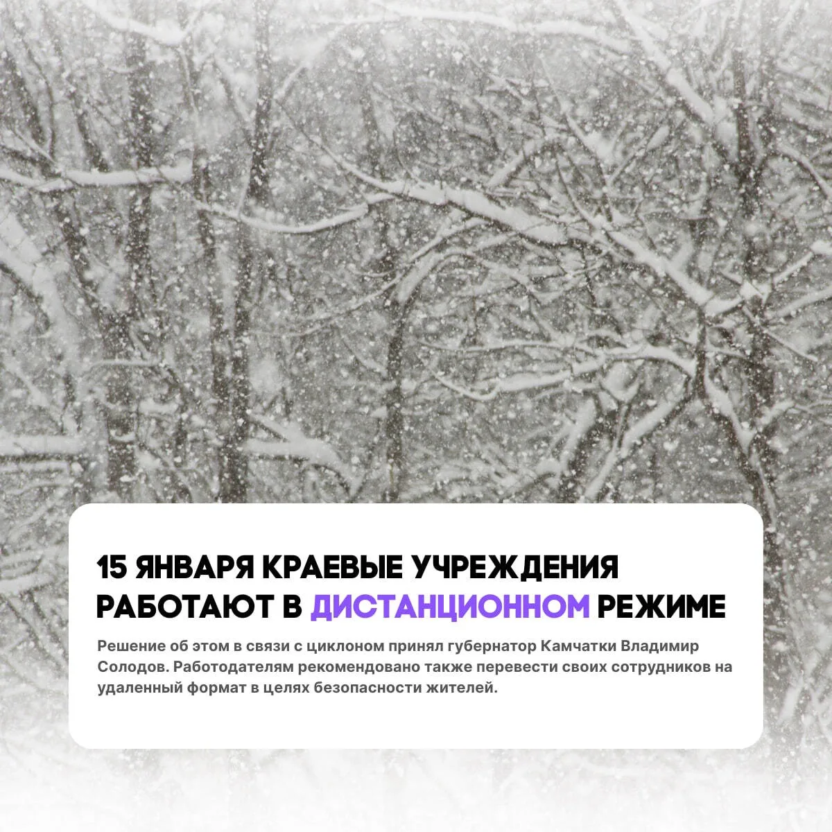 По распоряжению губернатора Камчатского края работа краевых учреждений 15 января переве...