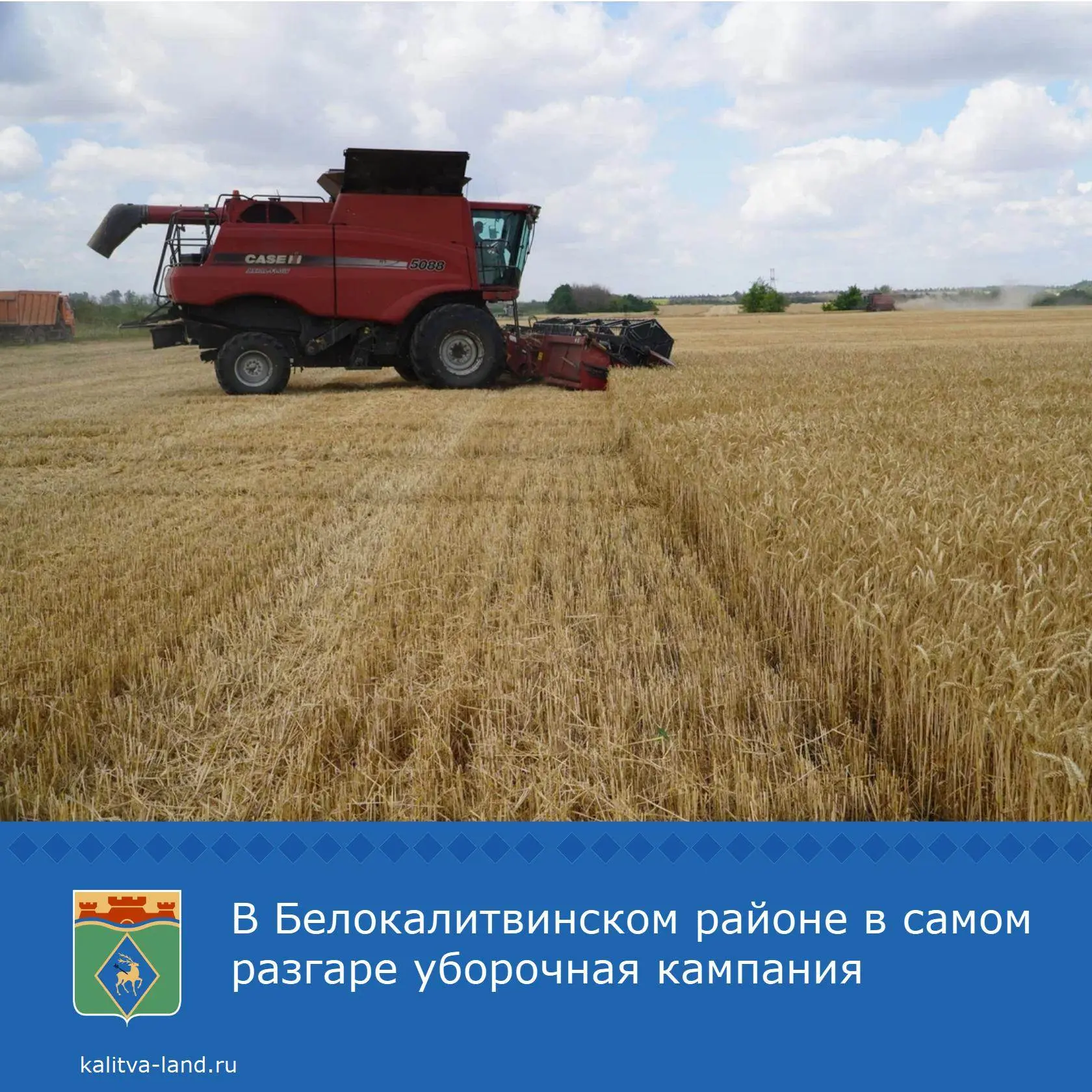 🚜 В Белокалитвинском районе продолжается уборка ранних зерновых культур. На сегодня уже собран урож