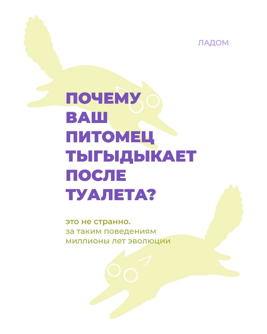 что естественно, то не безобразно 🐾