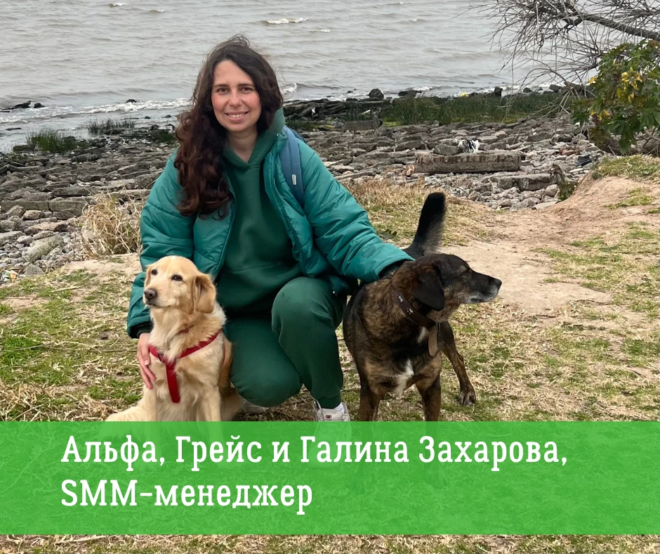 Каково быть экологистом, когда у тебя дома живет собака? А если сразу две и еще кошка? ...