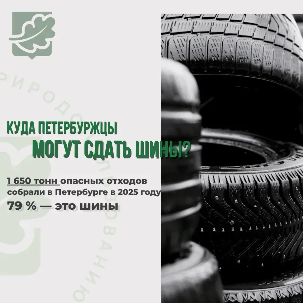 🛞 Куда петербуржцы могут сдать отработанные шины?