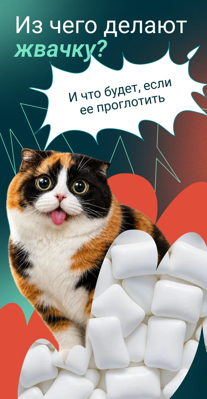 Проглотишь жвачку — она будет храниться в тебе семь лет.

Слышали такое от родителей? Конечно, это н