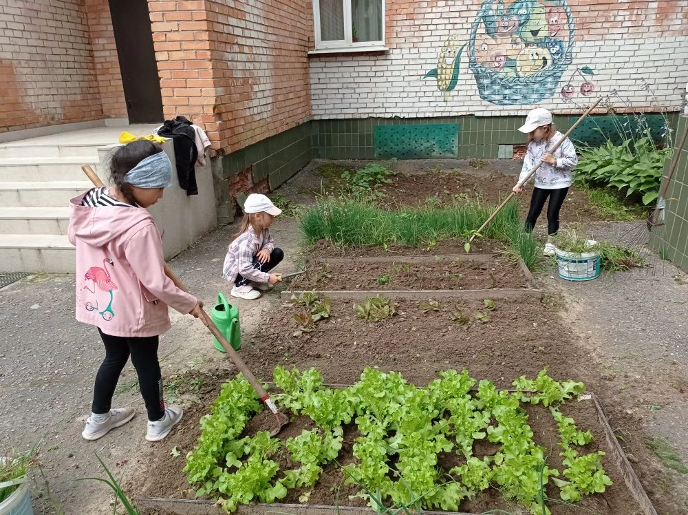 Огородные истории. Наш любимый огород требует внимания и заботы. Тем не менее, именно благодаря ему 