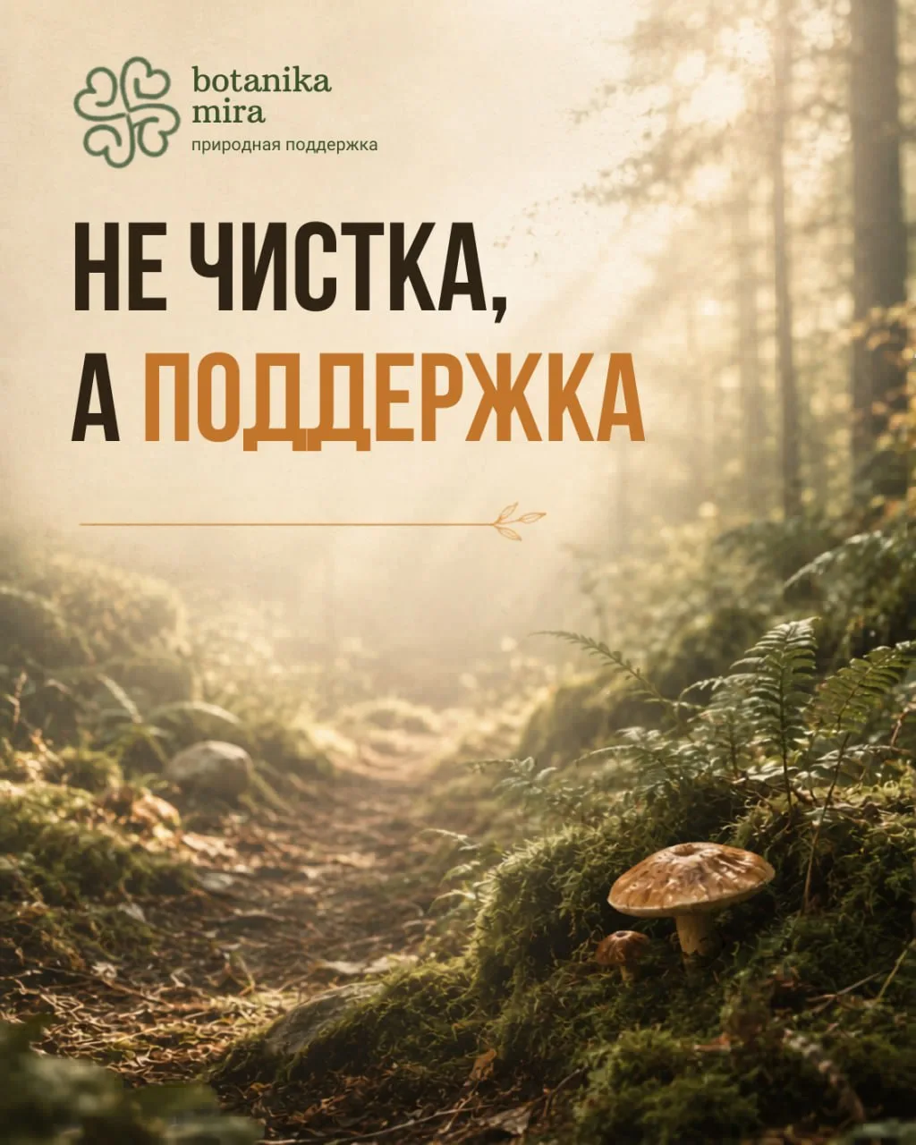Почему организму чаще нужна не «чистка», а поддержка