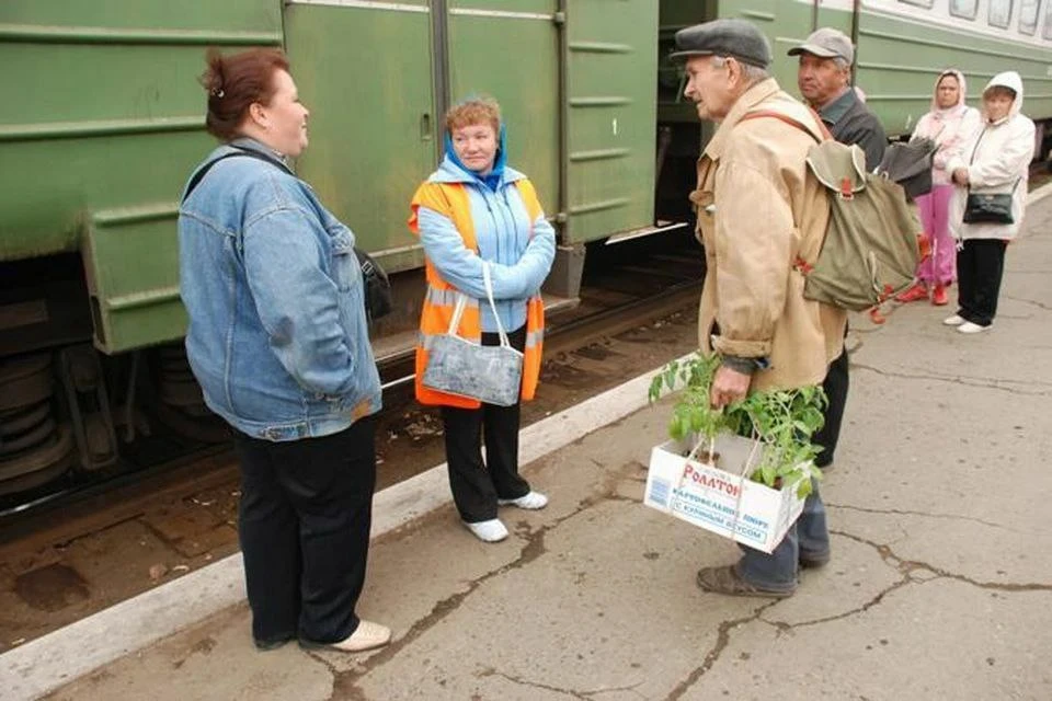 🚂 Проезд в пригородных поездах в летний период неработающим пенсионерам  Управление социальной защит