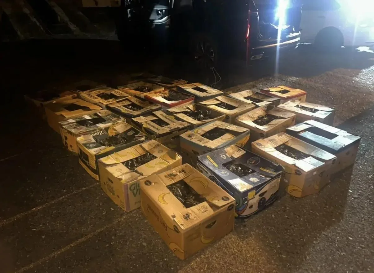 Полиция перехватила 854 кг контрабандных раков

На дорогах Енотаевского и Наримановского районов был