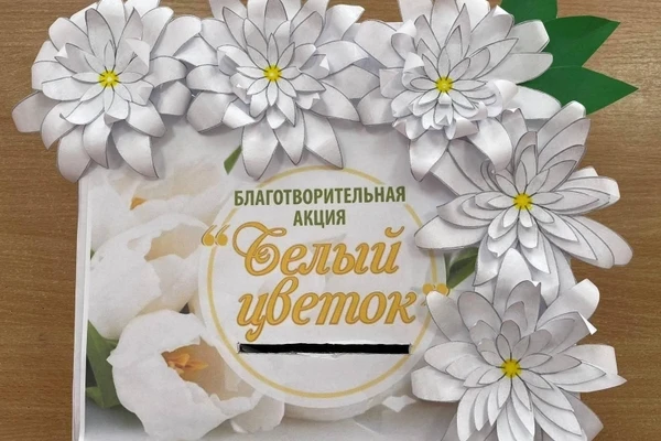 🎉 Старт акции «Белый цветок» в нашей школе! 🎉