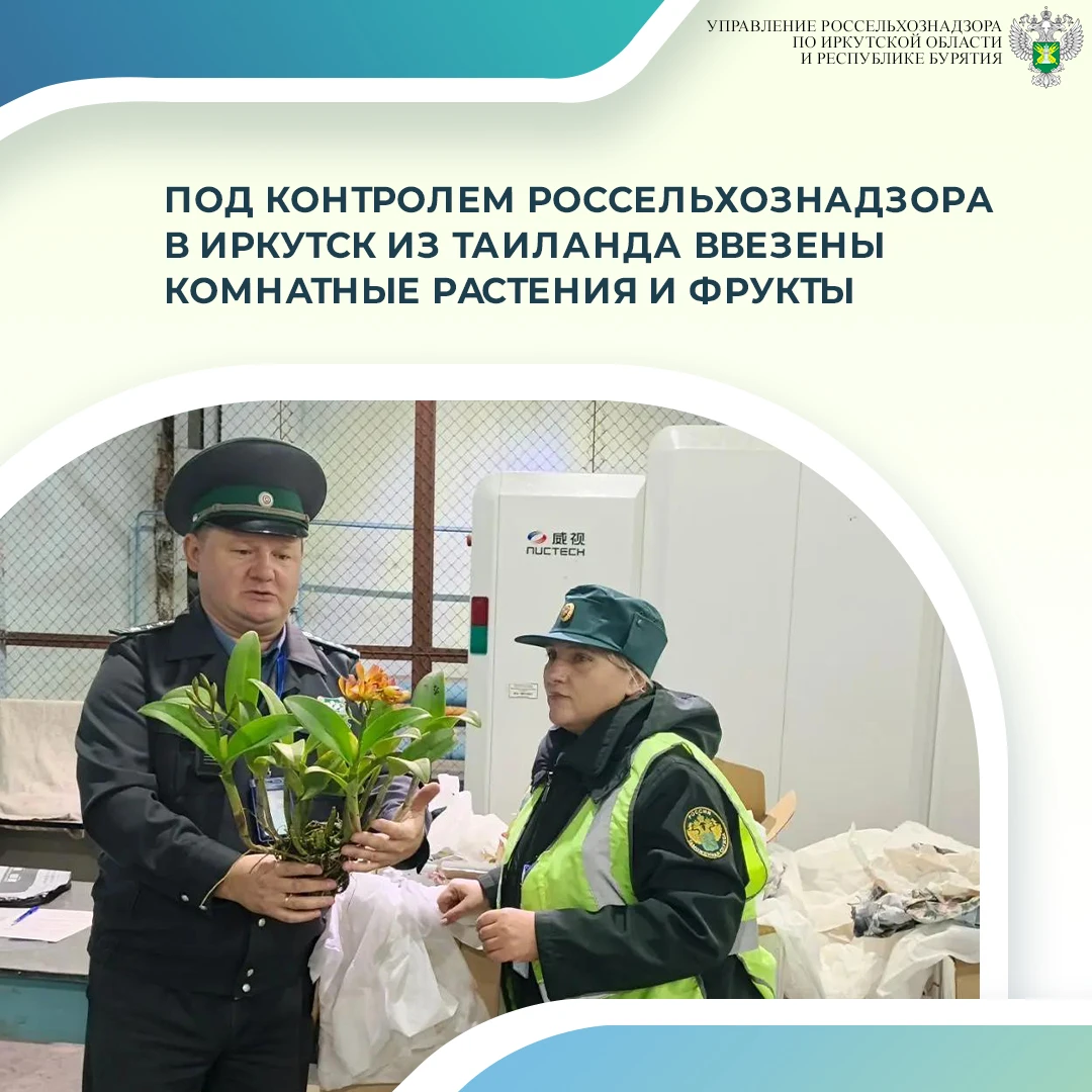На текущей неделе Управление Россельхознадзора по Иркутской области и Республике Буряти...