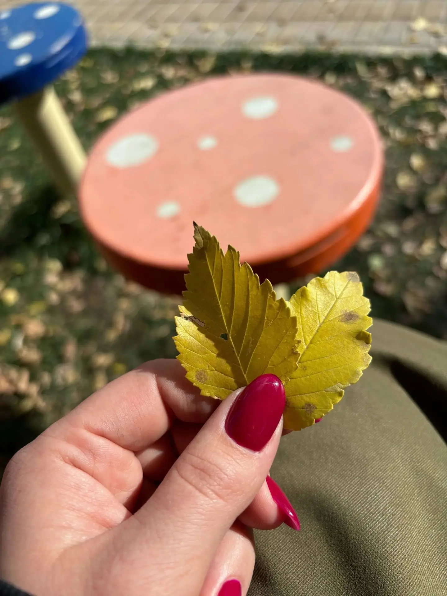 Осень в руках подписчика🍂😍