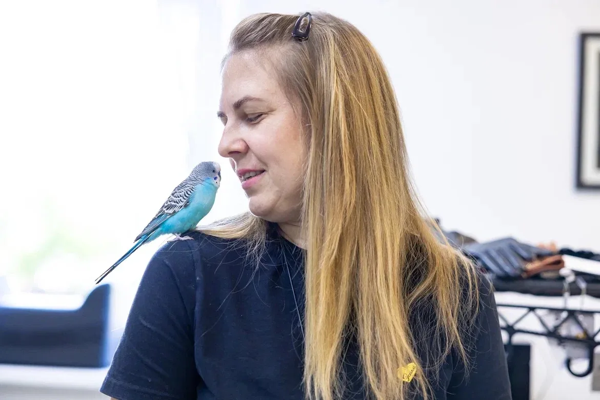 Лучший на работе!  🦜В Ликино-Дулеве появилась настоящая звезда. Попугай по имени Чико – главный сотр