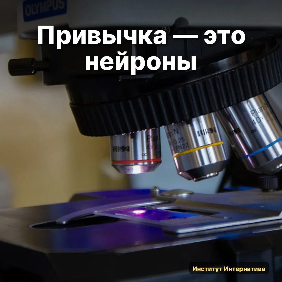 🧠 Свежая работа с arXiv, долго думала, как пересказать её коротко и не утонуть в терми...