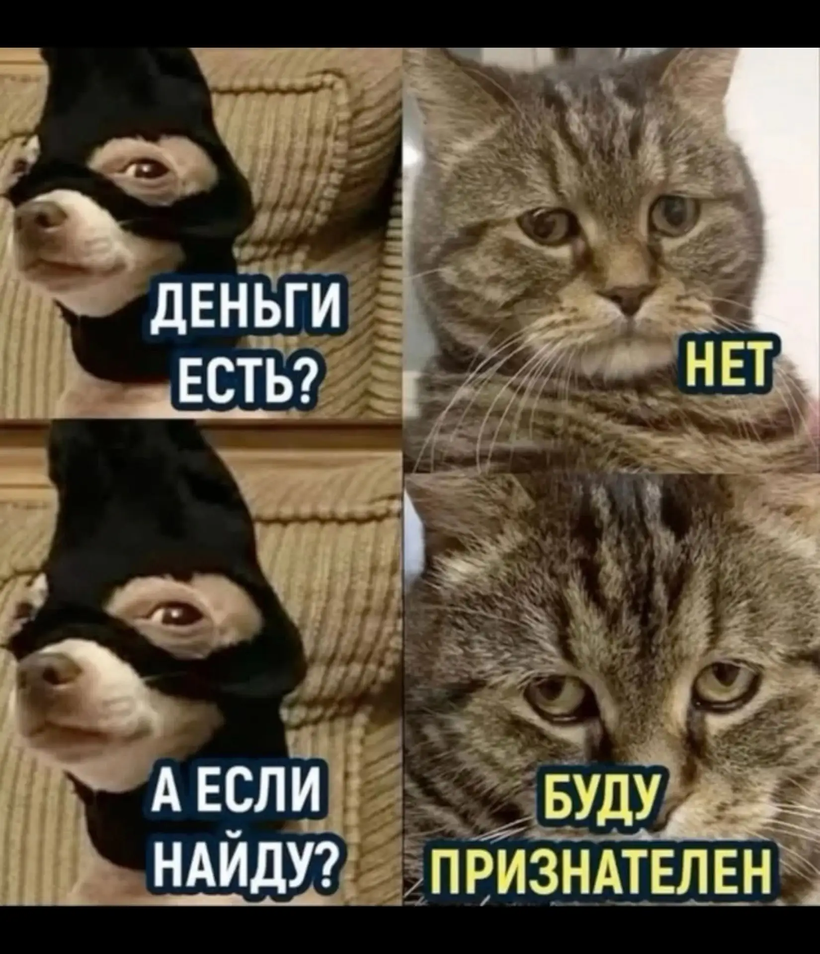 Обещала писать про важное.
Важное наступило. Вам не понравится.
Он опять про деньги, которых нет.

Г