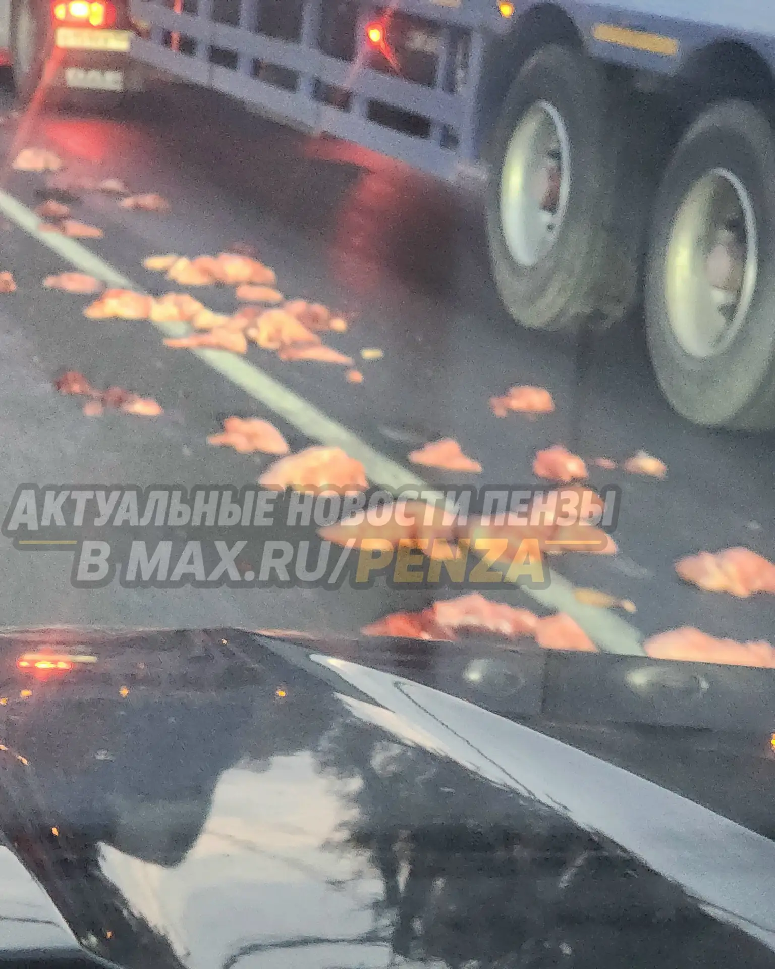 Осторожно: на трассе М5 лежат огромные куски мяса