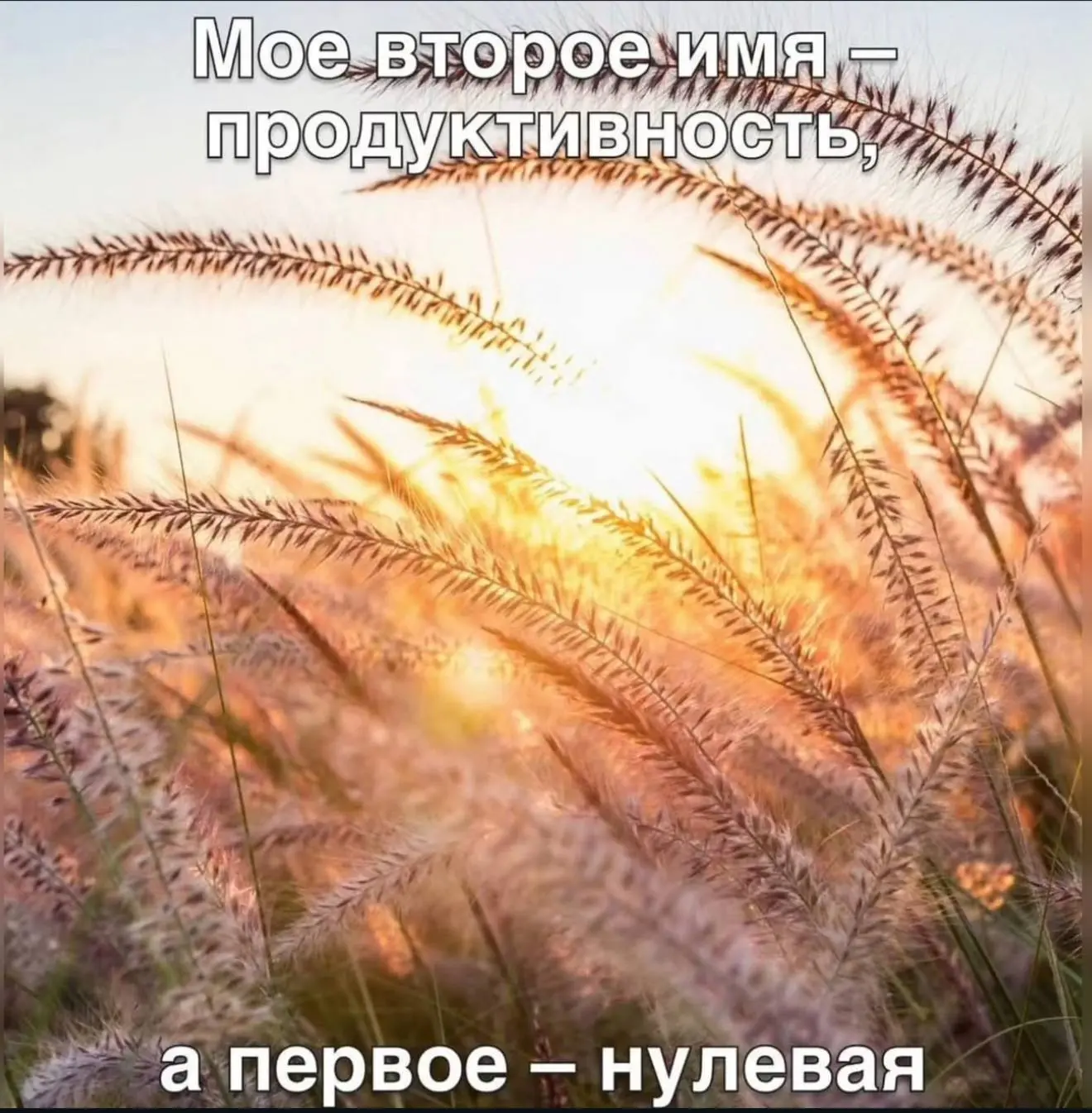 Доброго понедельника 💃