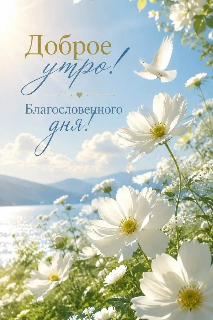 ☕️ #доброе_утро