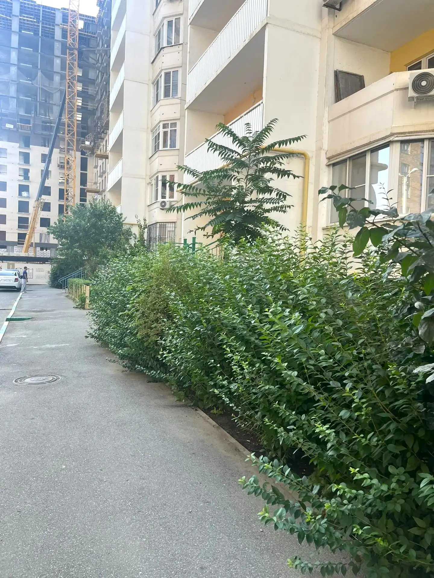 К новости «🌳 Летнее преображение»