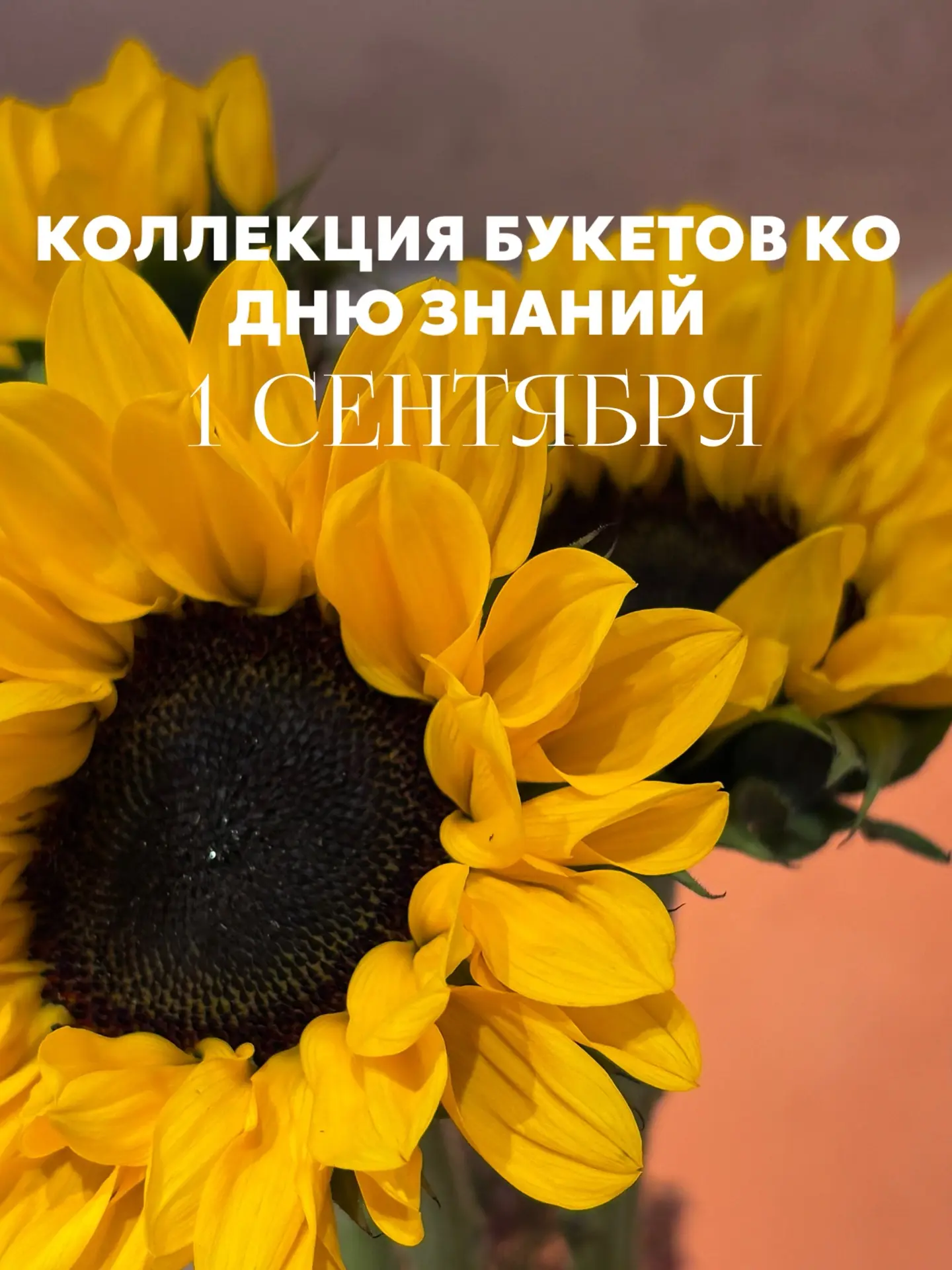 Готовьтесь к 1 Сентября вместе с нами! ☺️🔔