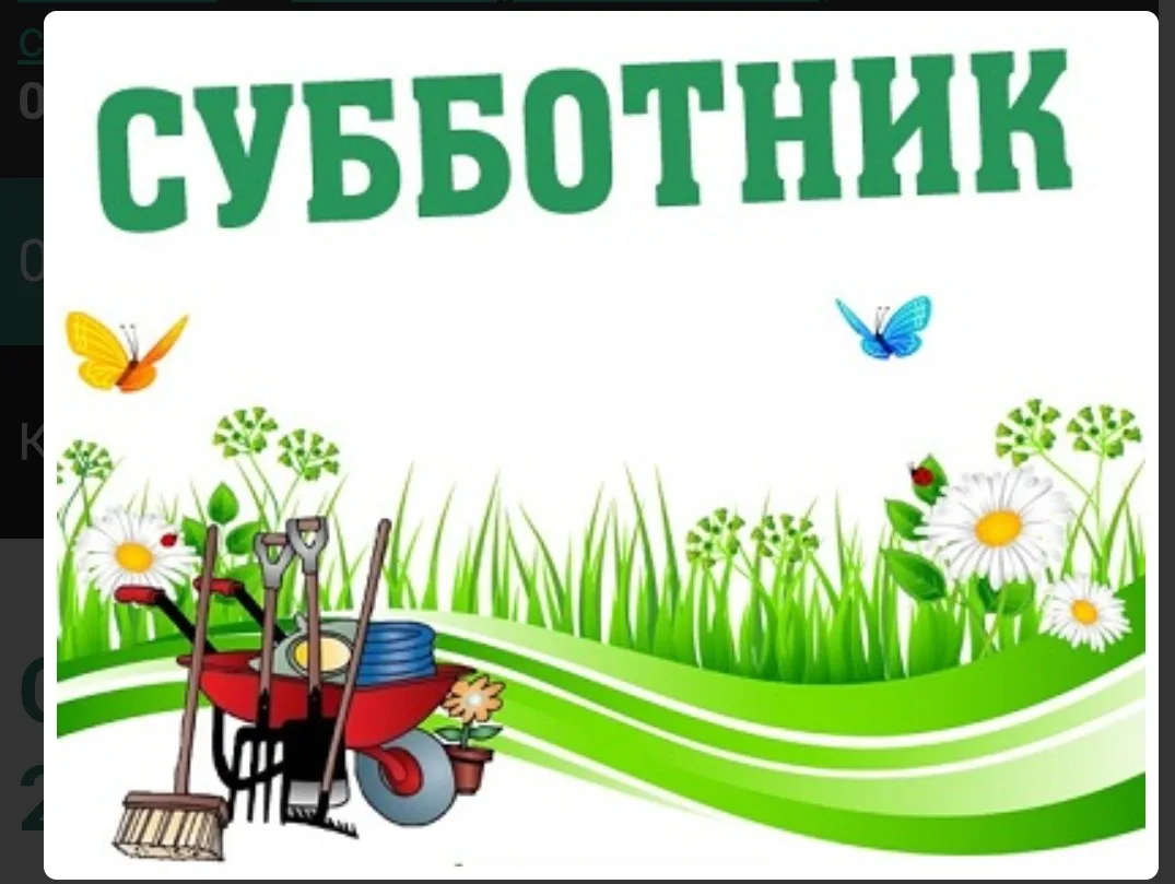 Объявление 📢📢📢