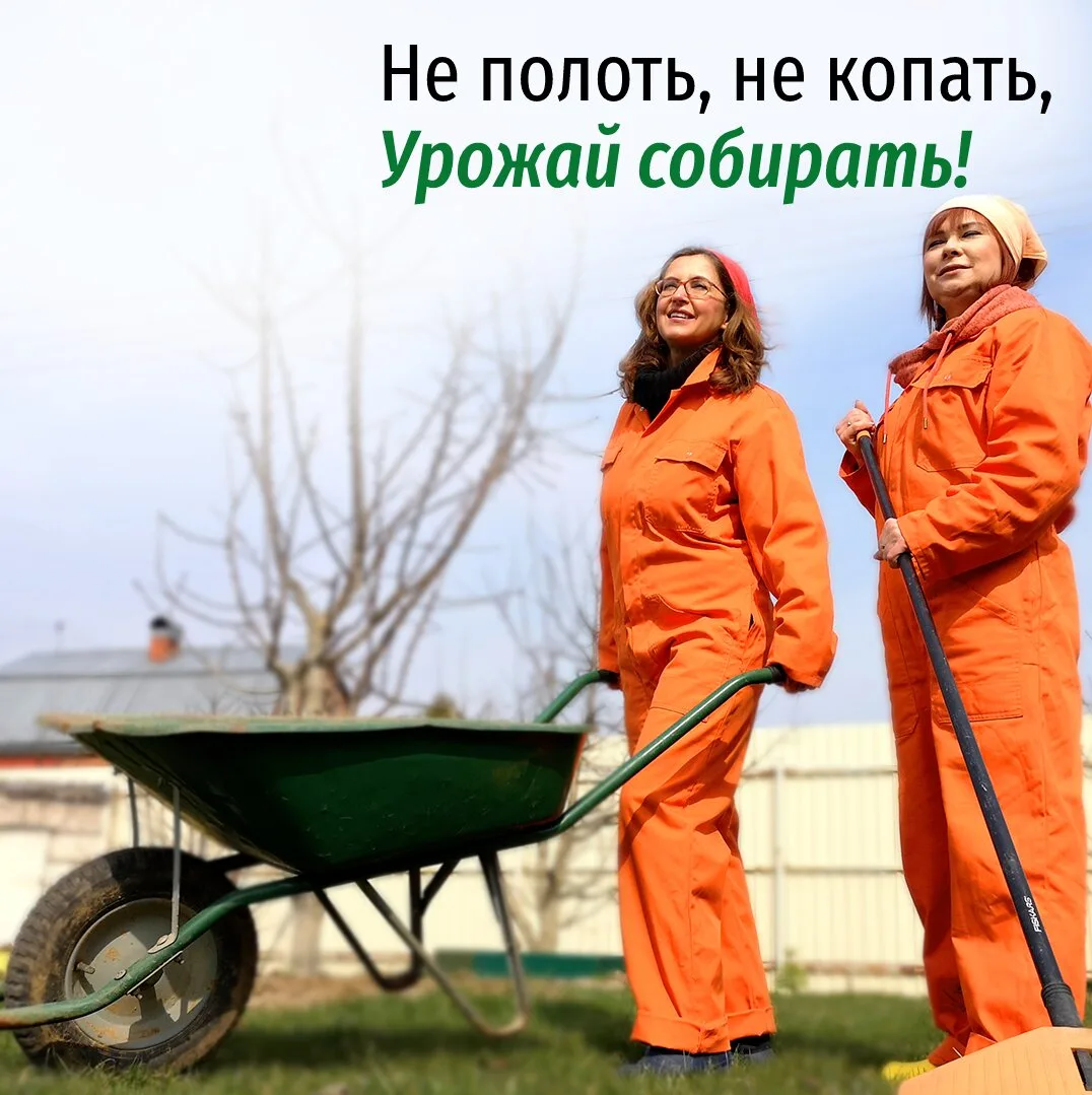 7 шагов к урожайному саду по методике НИСО  5 шагов к урожайному саду без лишних хлопот на онлайн-ин