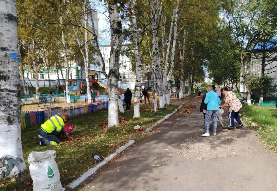 🍂Сотрудники детского  сада приняли участие в  осеннем  субботнике "Зеленая Россия" 🇷🇺