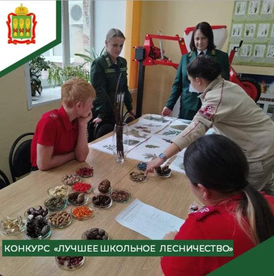 Приглашаем школьные лесничества принять участие во Всероссийском заочном смотр-конкурсе...