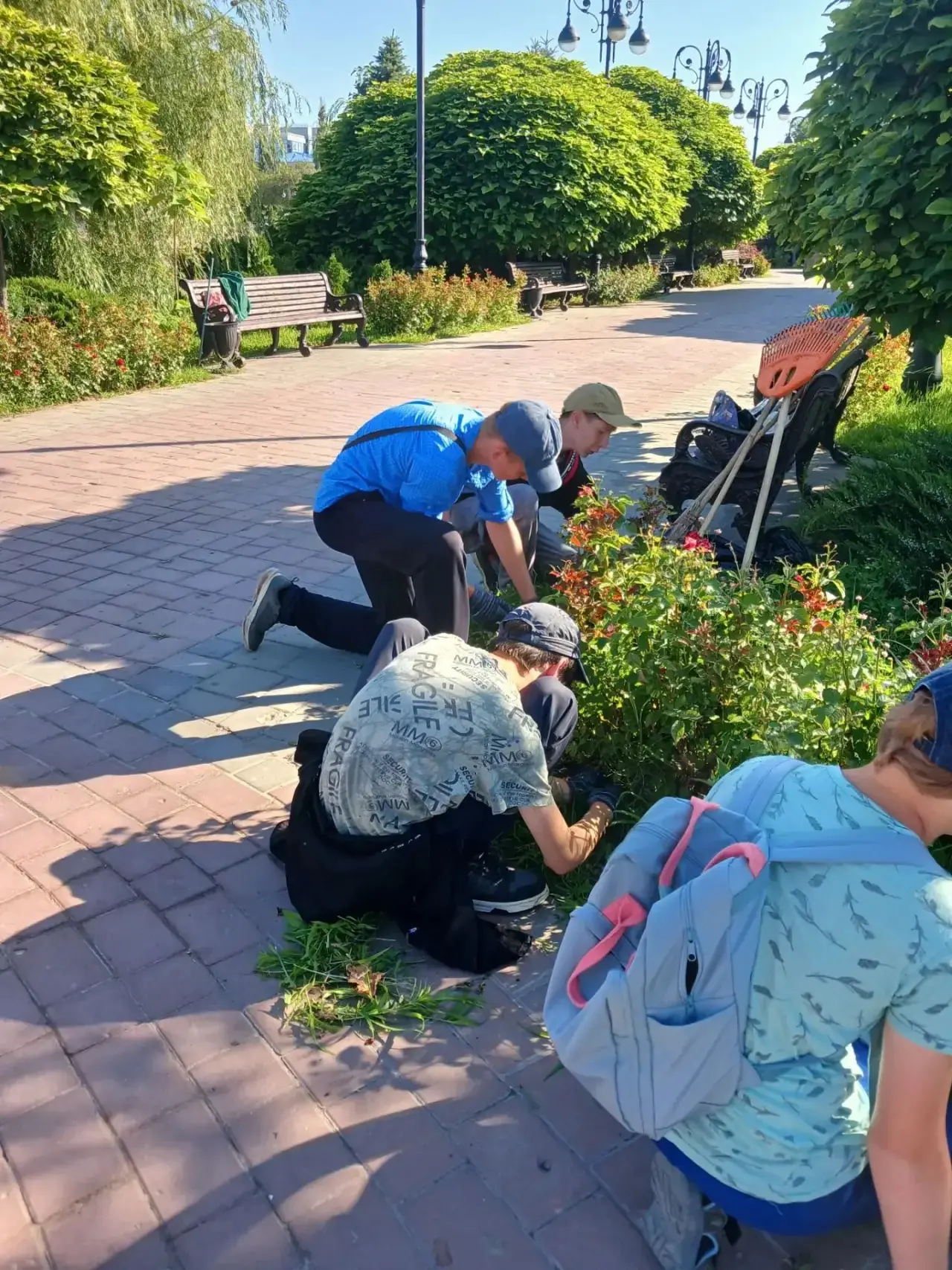🌱 Дожди — хорошо, но сорняки тоже не дремлют!