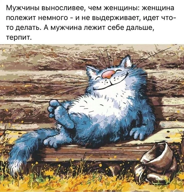 Не теряй нас, жми подписаться👇