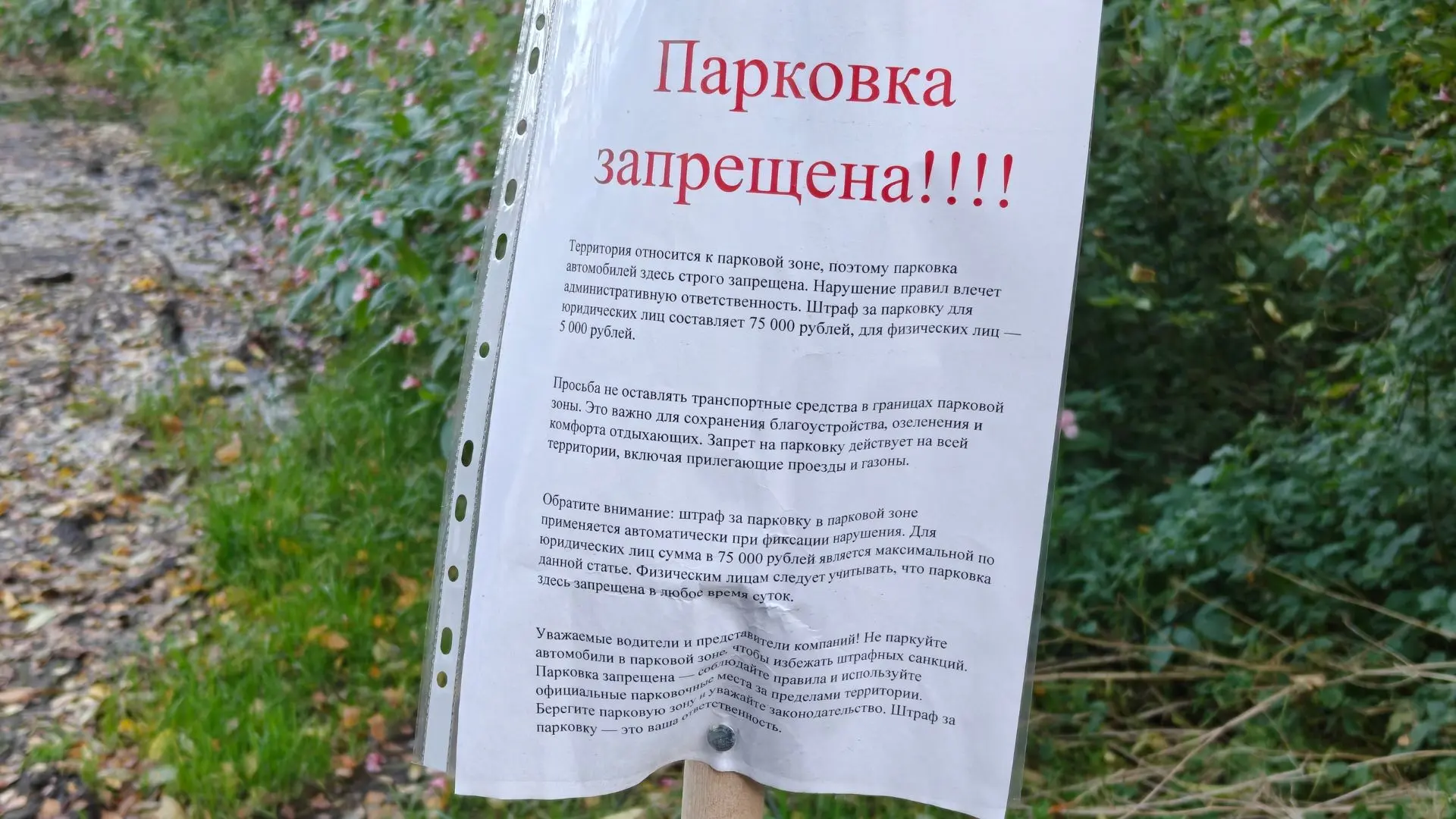 На Нагорной улице началась активная борьба за сохранность зеленой зоны. Понаставлены пу...
