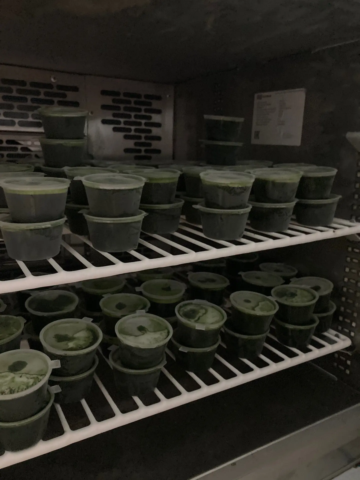 ❓ Частые вопросы о наших продуктах – отвечаем честно!
Мы ценим ваше доверие, поэтому собрали топ воп