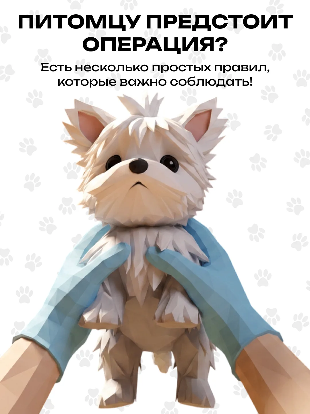🐾  Операция для питомца — всегда волнительный момент. Правильная подготовка поможет сд...