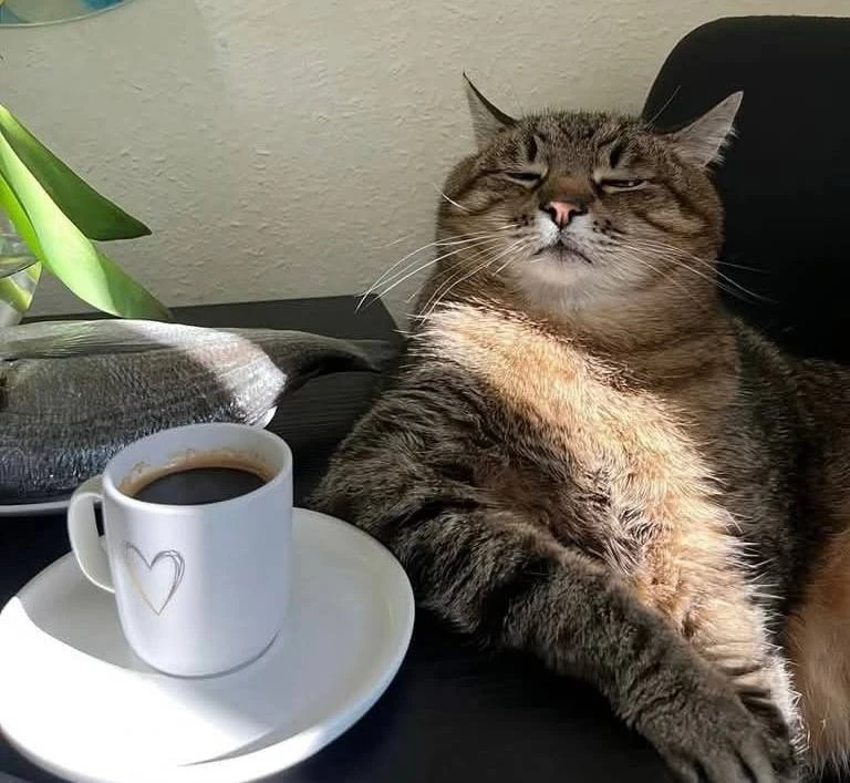 ☕️ Международный день кофе отмечается сегодня 1 октября