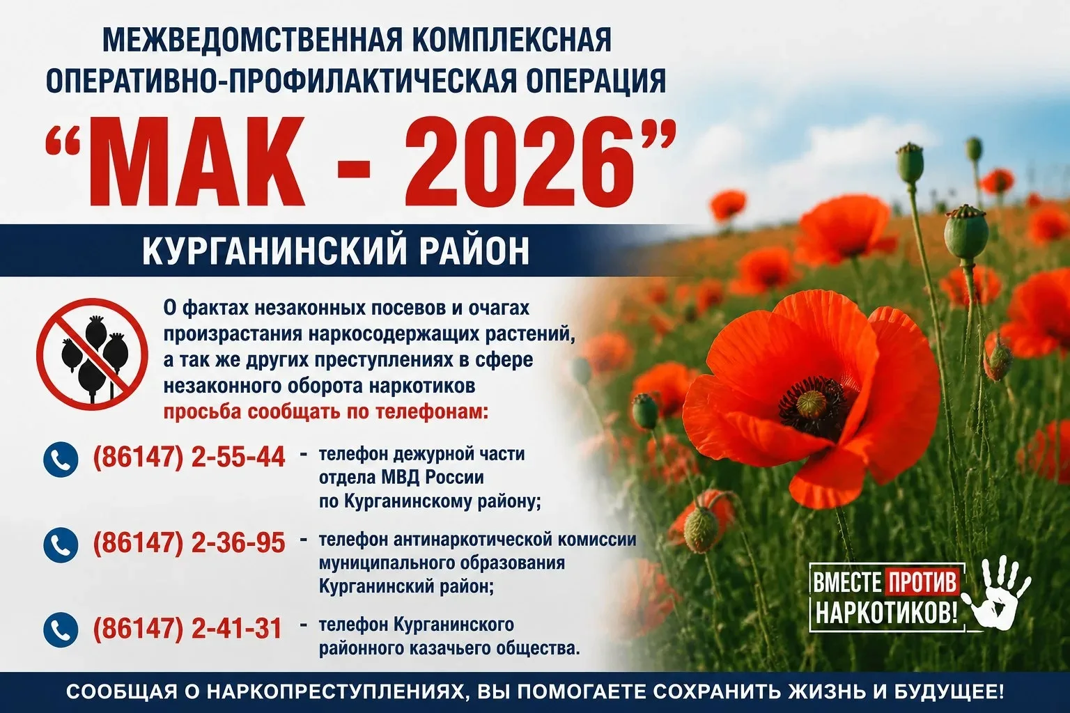 Самой эффективной мерой по противодействию распространения наркомании является помощь правоохранител
