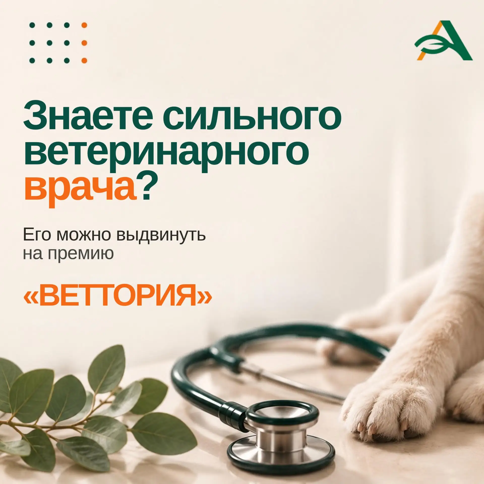 🐾 Знаете сильного ветеринарного врача? Расскажите ему о «ВЕТТОРИИ»