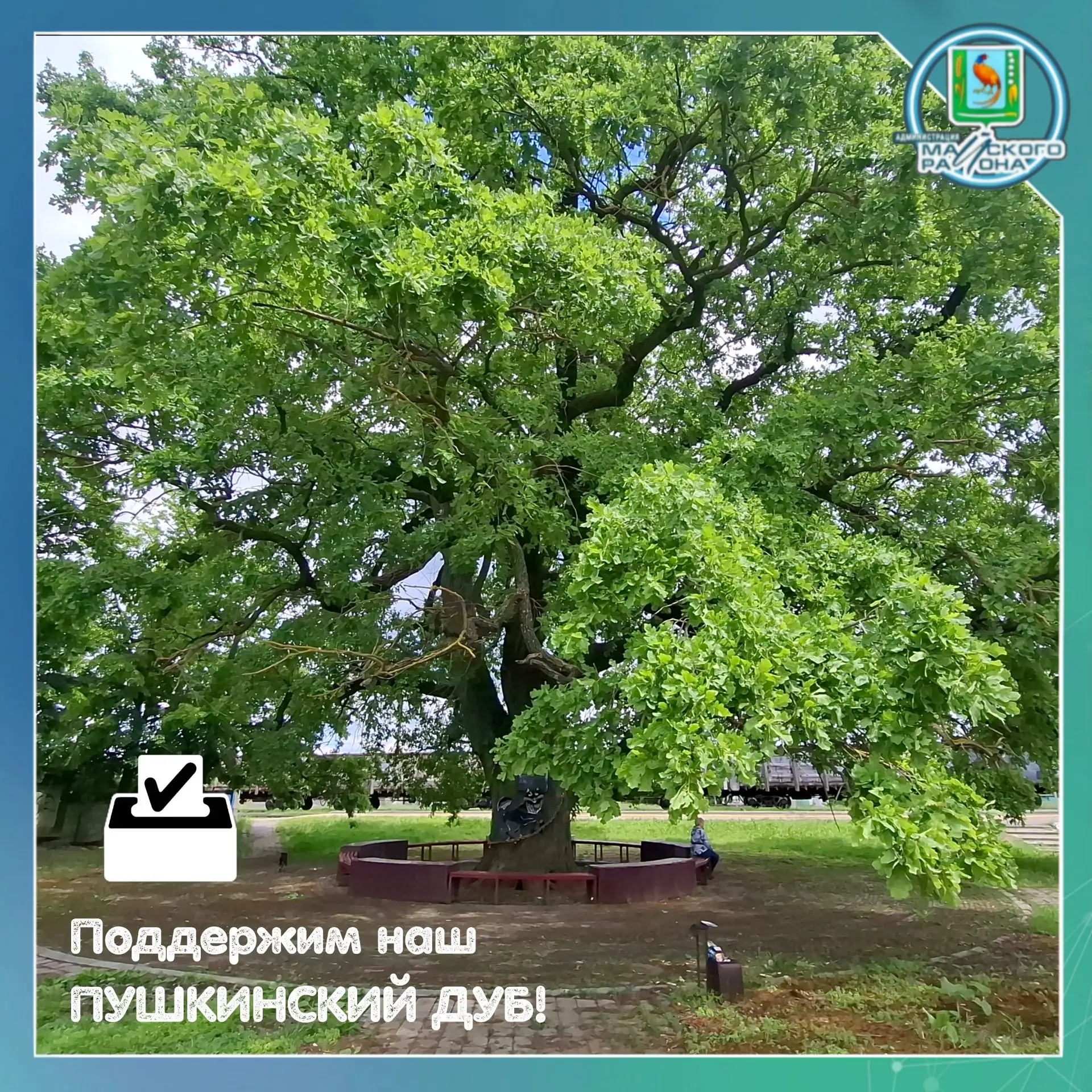 Дорогие жители Майского района! 🌳
