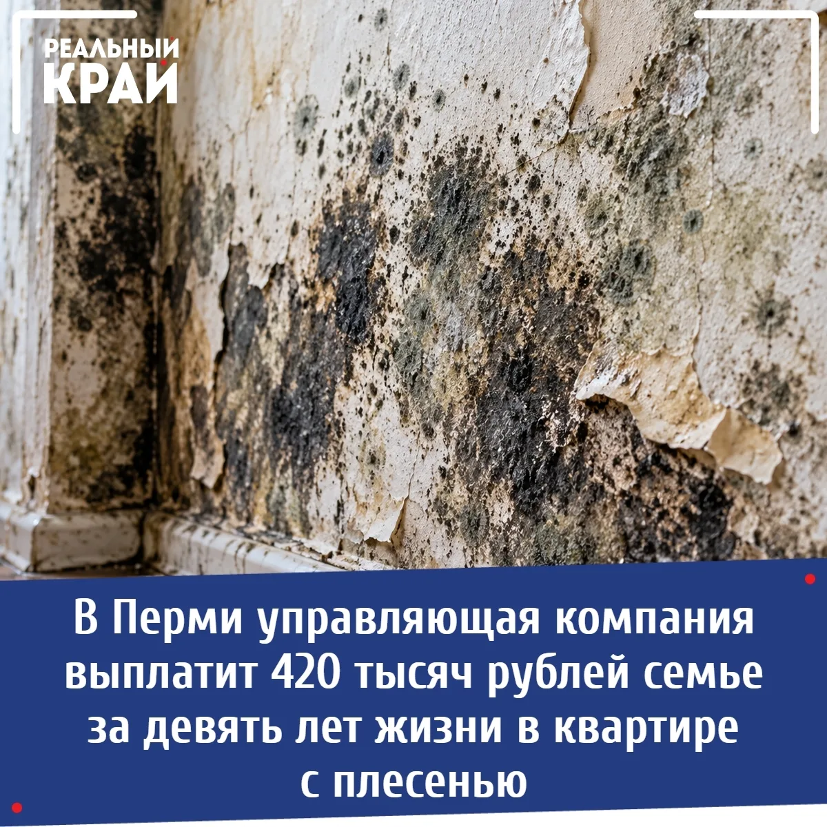 9 лет в плесени: пермская семья отсудила у УК 420 тысяч рублей