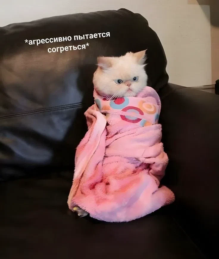Доброе утро
