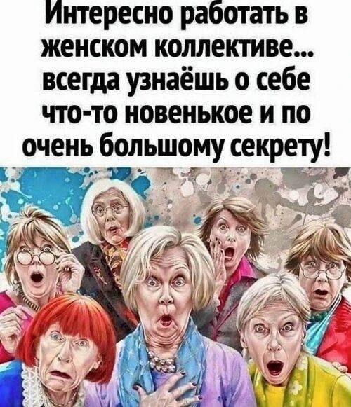 КУКУРУЗА 🌽