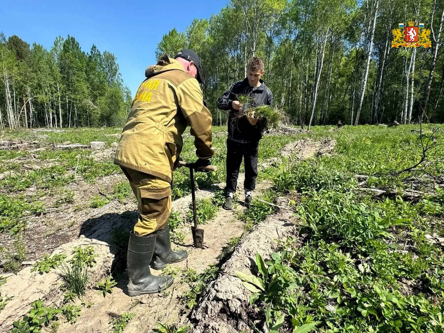 🌲 Живая память

Свердловчане высадили 233,5 тысячи сеянцев сосны и ели в рамках акции «Сад памяти» 