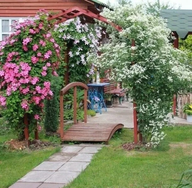 Арка, увитая клематисом 🌺Красота!!!

Не забудьте нажать оранжевую кнопку "Вступить" сверху справа, 