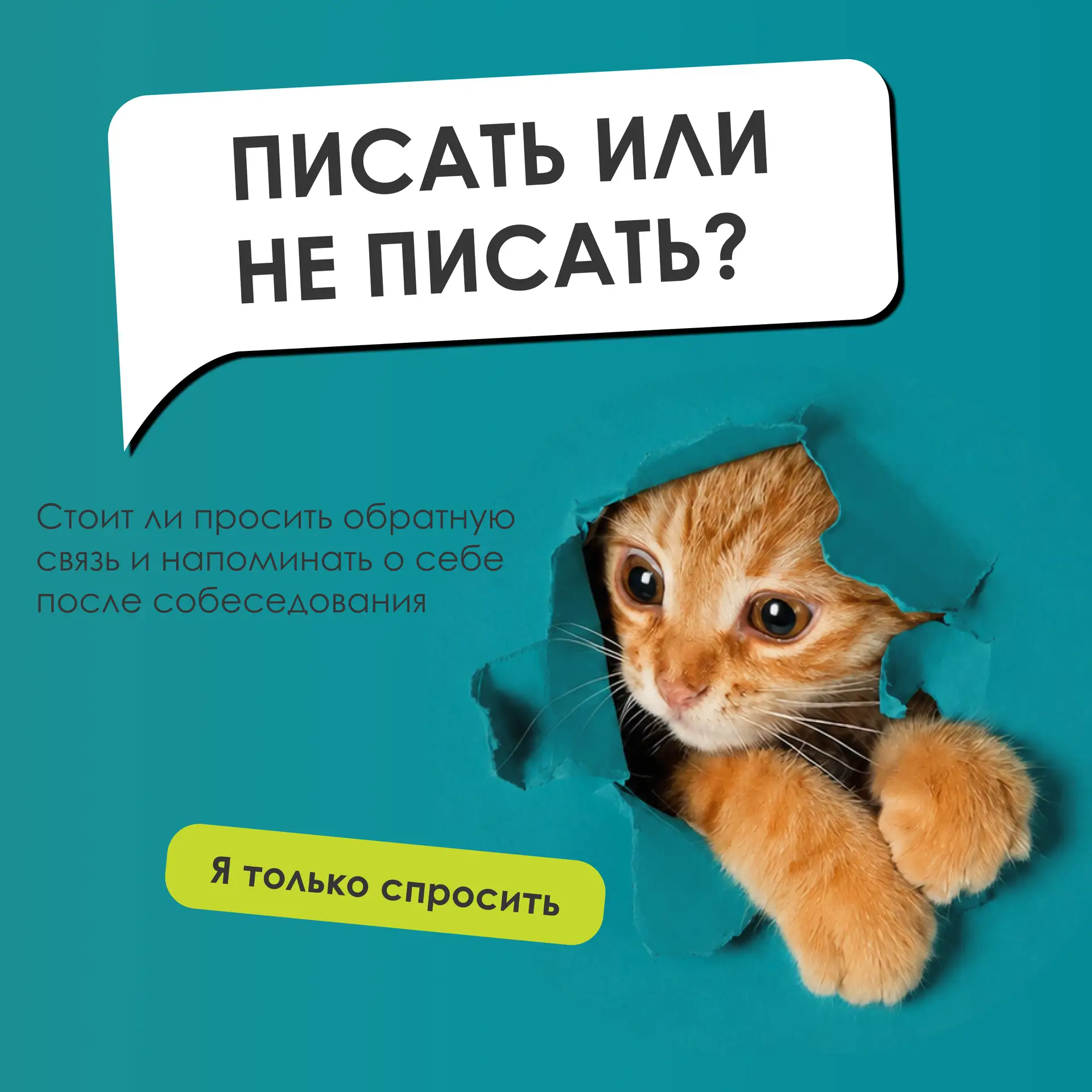 👋 Как напомнить о себе?